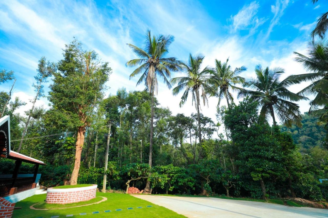 River View Guest House 마디케리 외부 사진