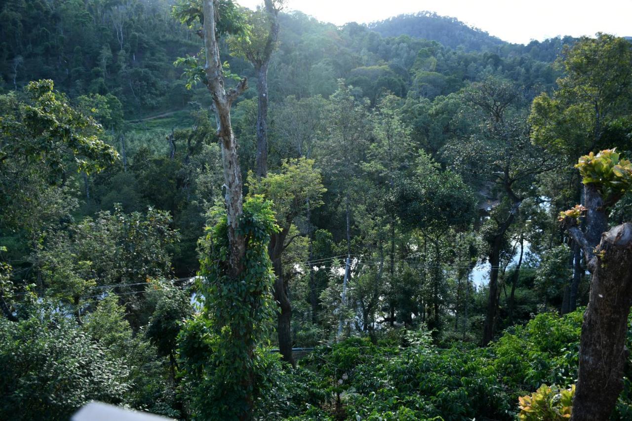 River View Guest House 마디케리 외부 사진