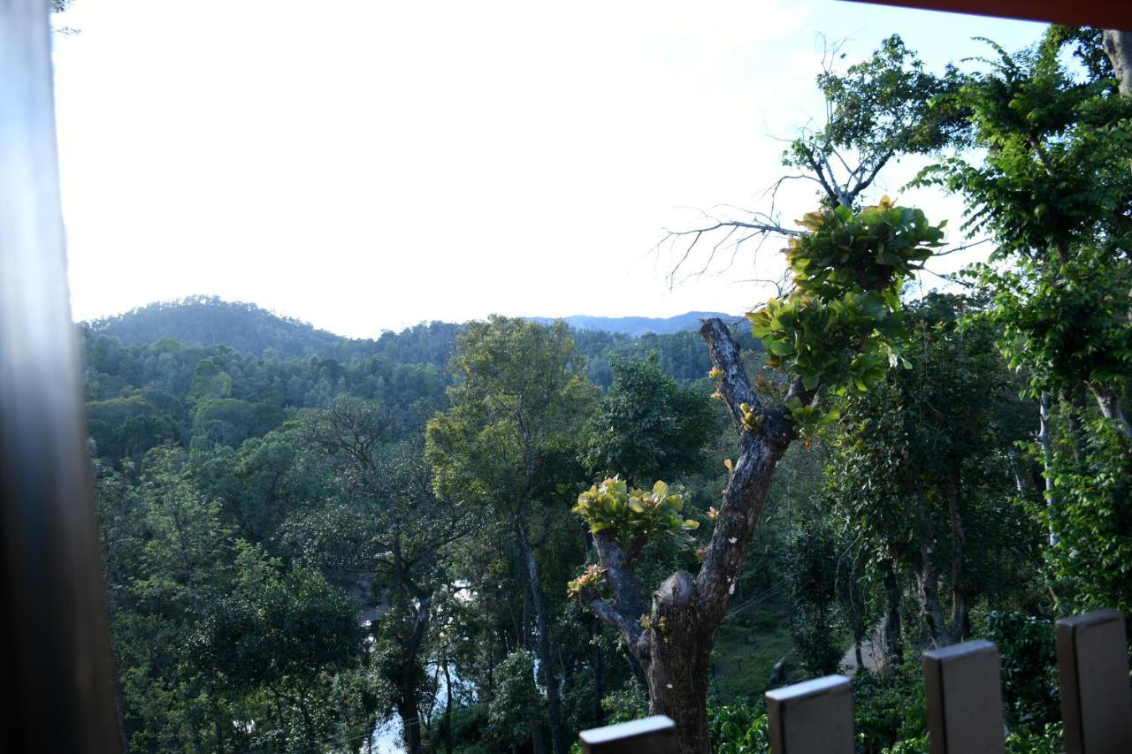River View Guest House 마디케리 외부 사진